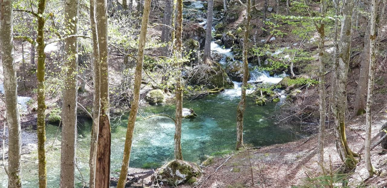 Yellow Apartma Kranjska Gora 아파트 외부 사진