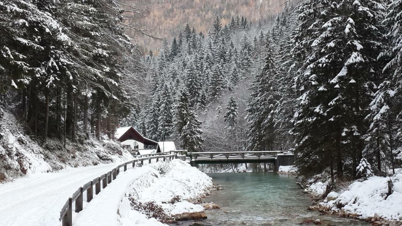 Yellow Apartma Kranjska Gora 아파트 외부 사진