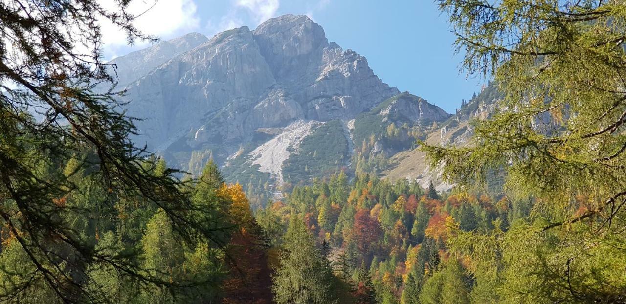 Yellow Apartma Kranjska Gora 아파트 외부 사진